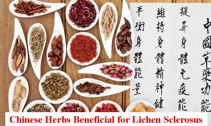 Chinese Herbs Effective Against Lichen Sclerosus Tcm Houston